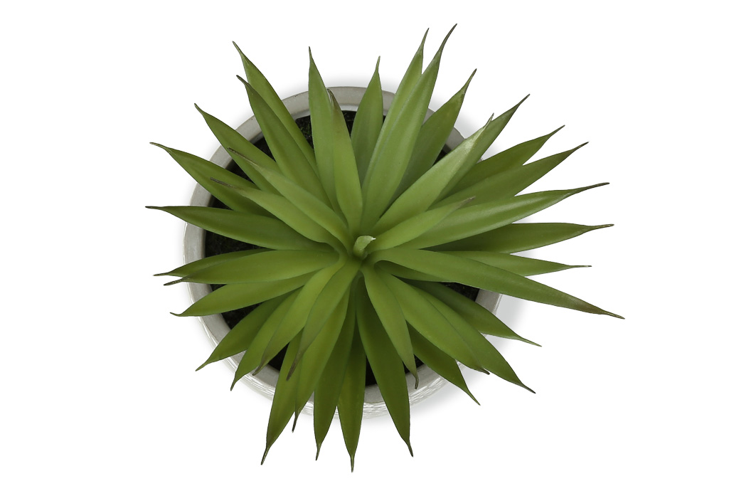 Artificial Plants (set of 2)