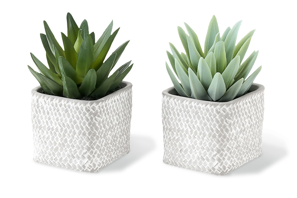 Artificial Plants (set of 2)