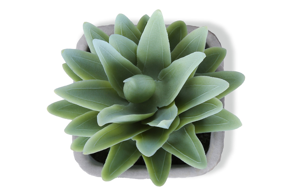 Artificial Plants (set of 2)