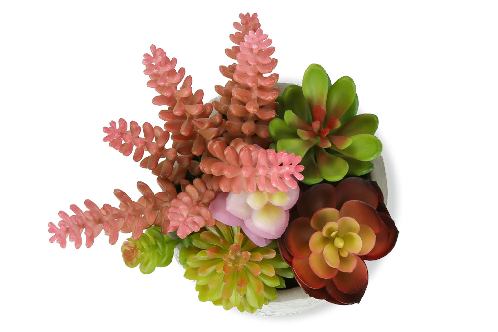 Artificial Plants (set of 2)