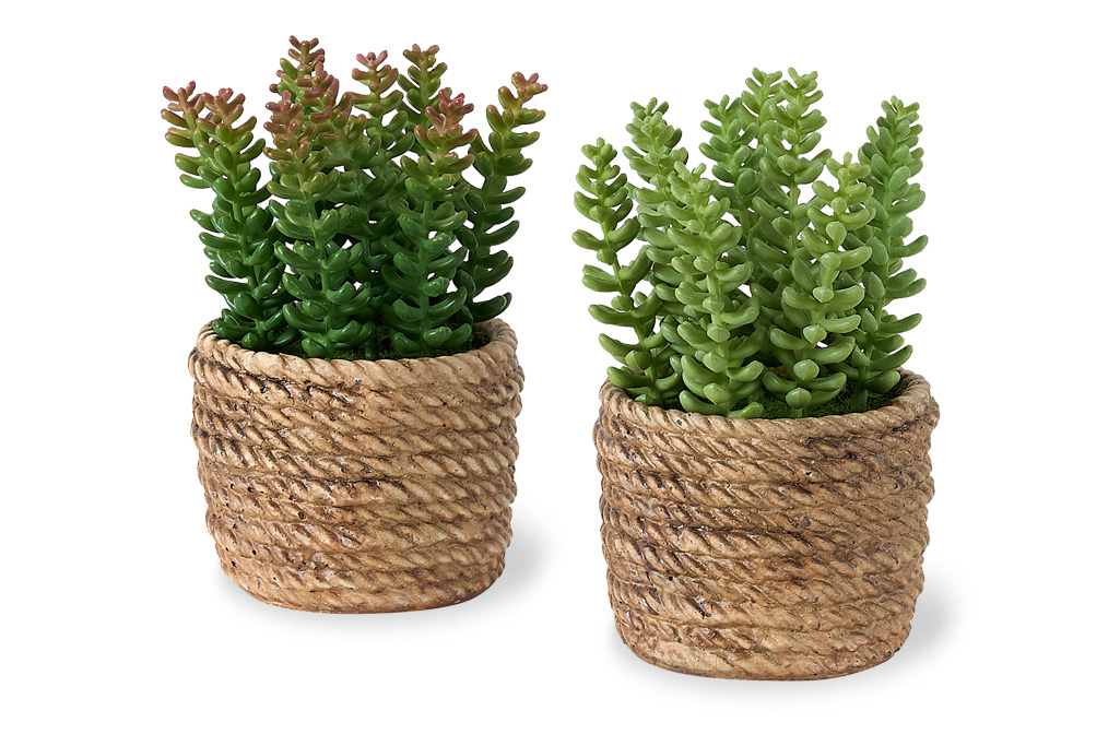Artificial Plants (set of 2)