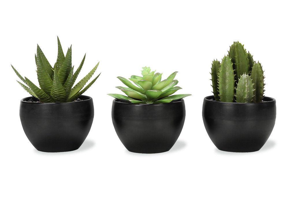 Artificial Plants (set of 3)