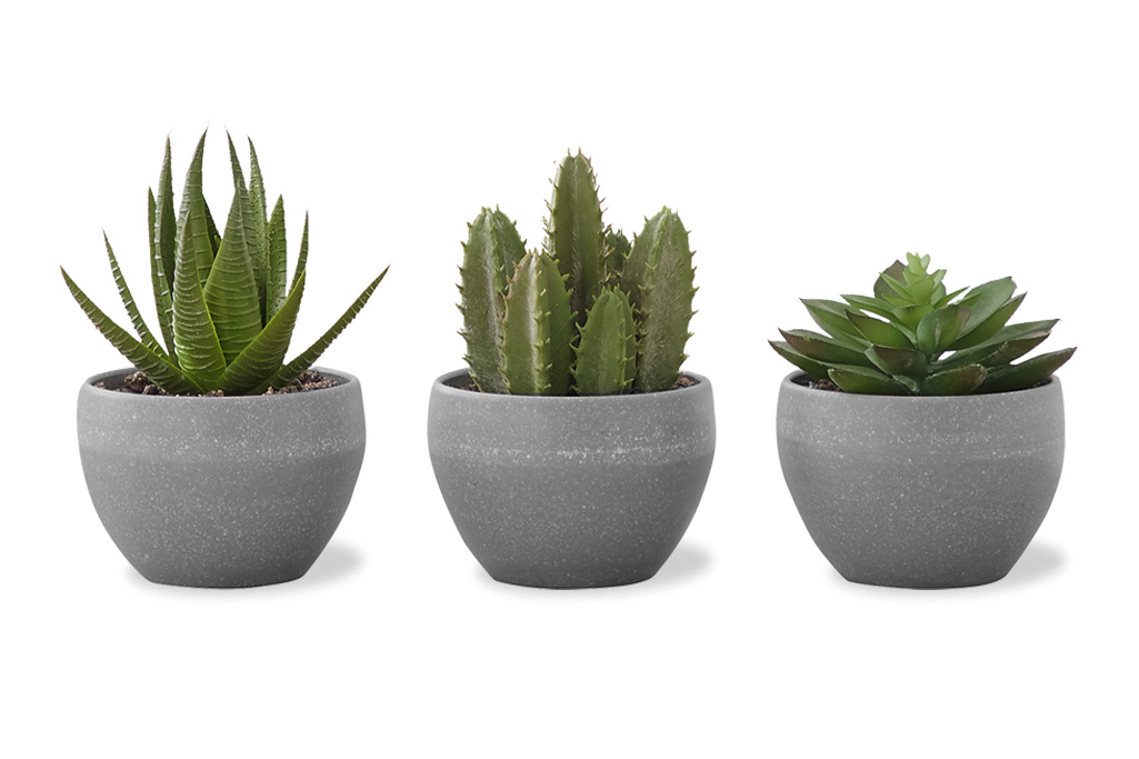 Artificial Plants (set of 3)